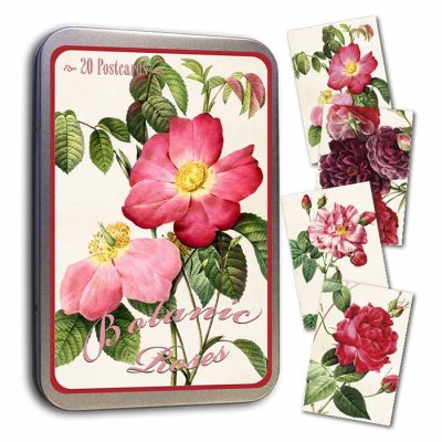 Vintage Post cards 20 pcs in tin box  Roses